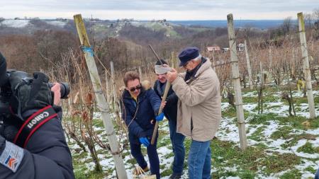 Vincekovo brez meja 15